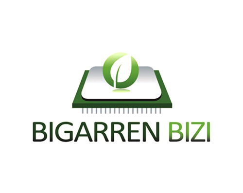 Bigarren Bizi