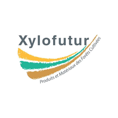 Xylofutur