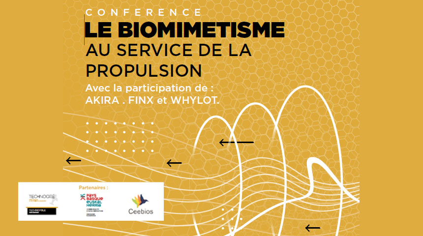 Conférence Biomimétisme 6 octobre 2022